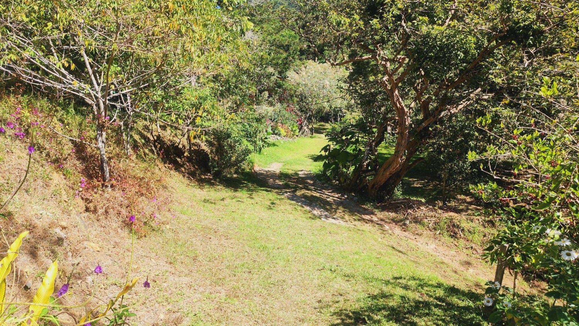 Hospedajes Richie Eco Camp Providencia Exterior foto