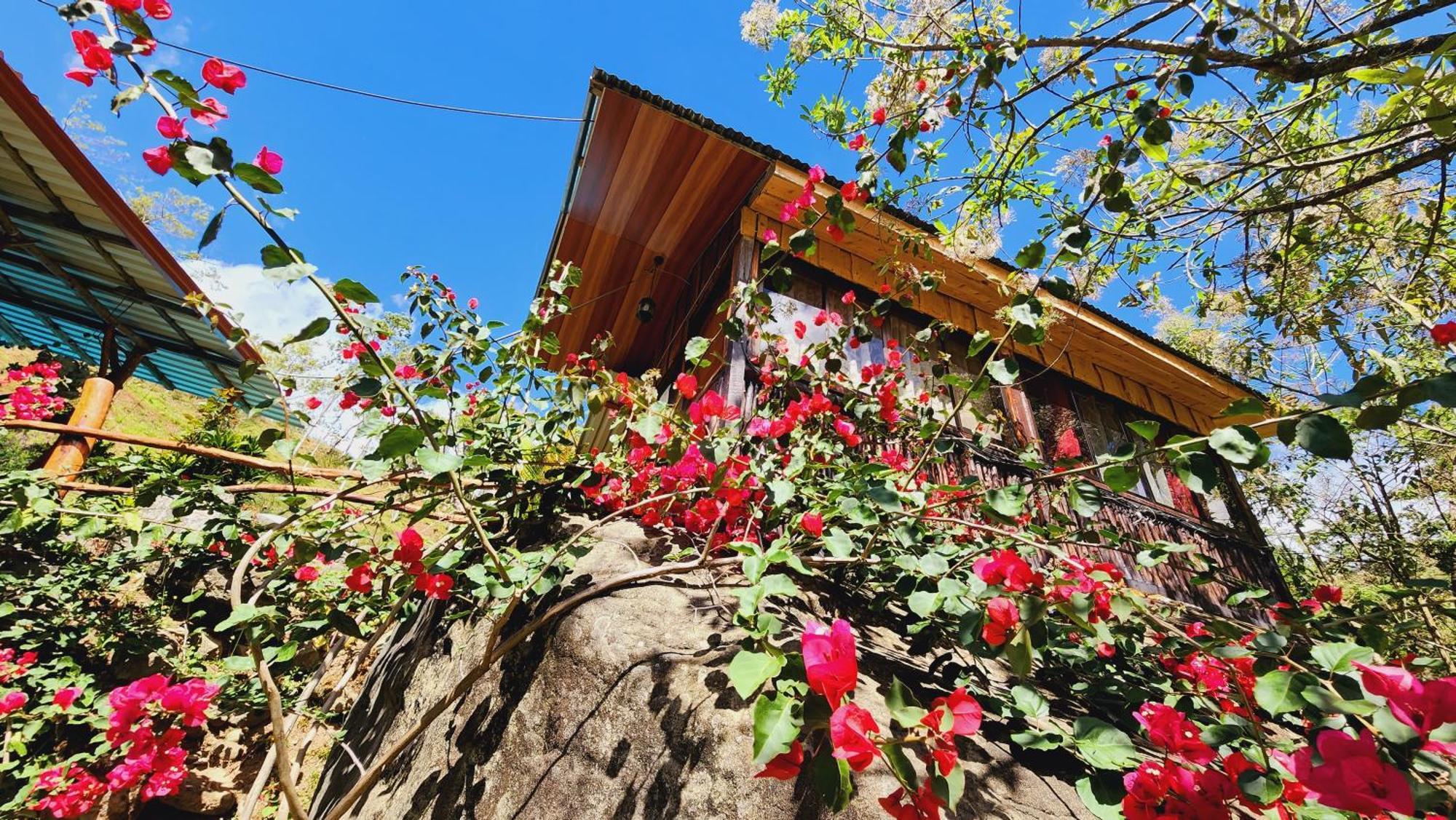 Hospedajes Richie Eco Camp Providencia Exterior foto