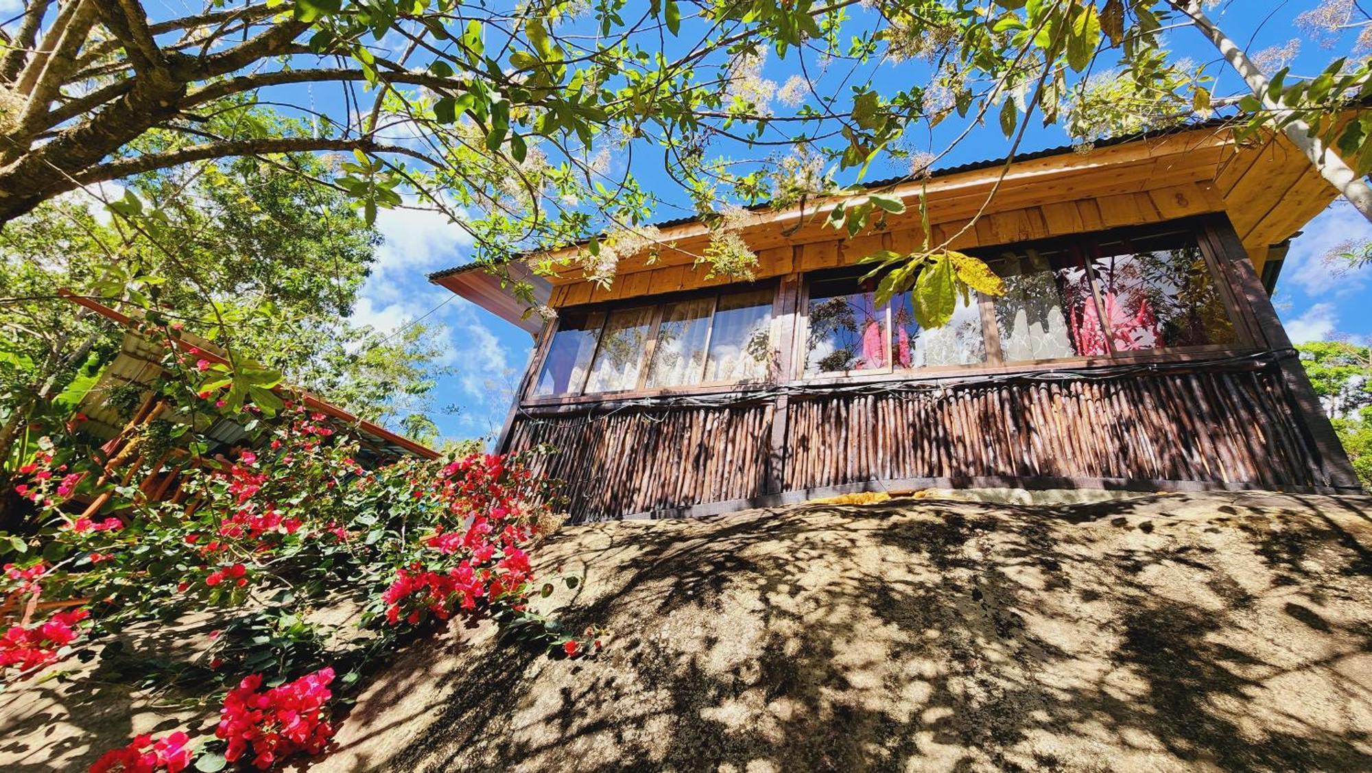 Hospedajes Richie Eco Camp Providencia Exterior foto